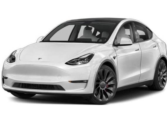 TESLA MODEL Y 2021 5YJYGDEE8MF255559 image